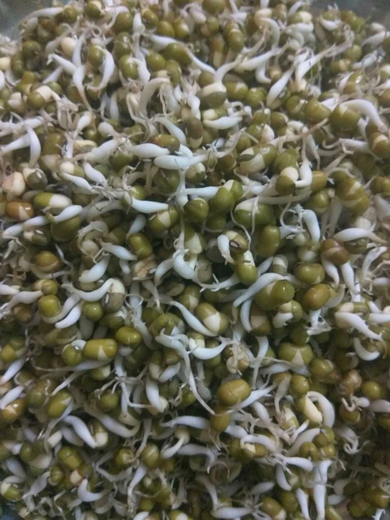 ಪ್ರತಿದಿನ ಮೊಳಕೆಕಾಳು ಸೇವಿಸುವುದರಿಂದ ಇರುವ ಪ್ರಯೋಜನಗಳೇನು ತಿಳ್ಕೊಬೇಕಾ!?