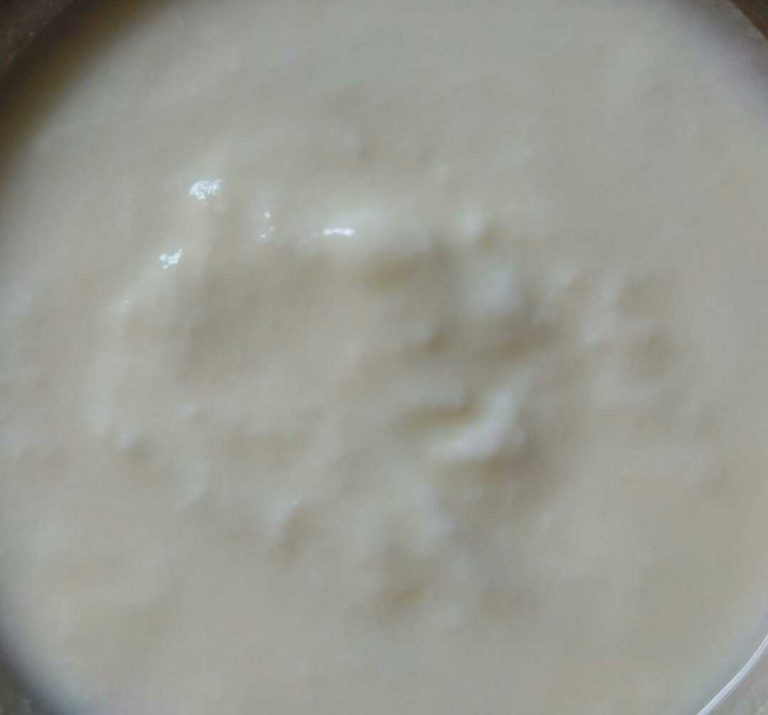 ಉತ್ತಮ ಆರೋಗ್ಯಕ್ಕೆ ಮೊಸರು ಎಷ್ಟು ಅಗತ್ಯ?