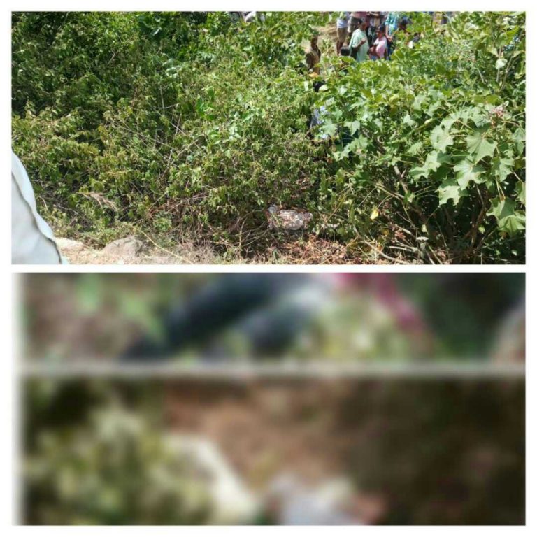 ಡಿವೈಡರ್‌ಗೆ ಡಿಕ್ಕಿ ಹೊಡೆದ ದ್ವಿಚಕ್ರ ವಾಹನ ಸವಾರ: ಇಬ್ಬರ ಸಾವು