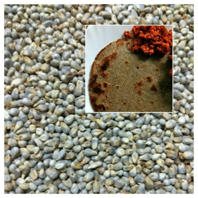 ಮಲಬದ್ಧತೆಗೆ ರಾಮಬಾಣವಾದ ಸಜ್ಜೆ!