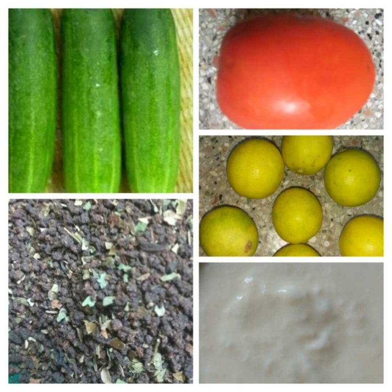 ಕಣ್ಣಿನ ಸುತ್ತ ಇರುವ ಕಪ್ಪು ಕಲೆಯನ್ನು ನಿವಾರಣೆ ಮಾಡಬೇಕೇ? ಹಾಗಾದ್ರೆ ಈ ಮನೆಮದ್ದು ಉಪಯೋಗಿಸಿ!