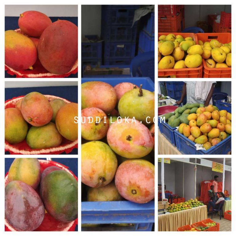 ಮಾವು ಬೆಳೆಗೆ ಬೆಂಬಲ ಬೆಲೆಗೆ ಚಿಂತನೆ:ಸಿಎಂ