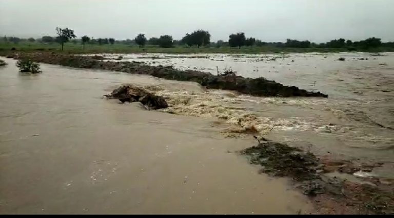 ಮಳೆಯಲ್ಲಿ ಕೊಚ್ಚಿ ಹೋದ ರೈತನ ಬದುಕು