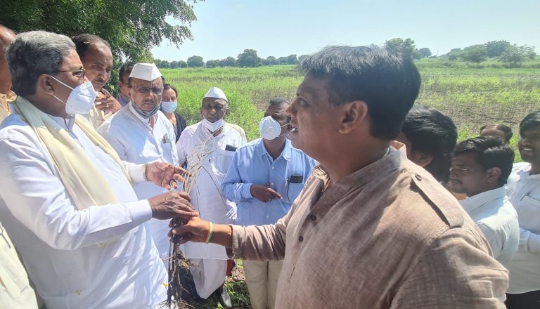 ಮಳೆಹಾನಿ ಪ್ರದೇಶಕ್ಕೆ ಸಿದ್ದು ಭೇಟಿ: ರೈತರಿಂದ ಅಹವಾಲು ಸ್ವೀಕಾರ