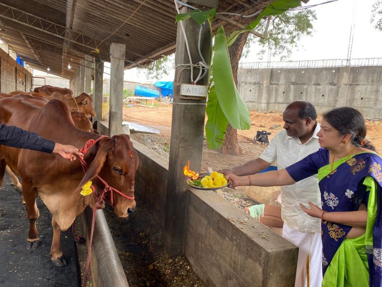 ದೀಪಾವಳಿ: ಬಿಡದಿ ತೋಟದಲ್ಲಿ ಗೋಪೂಜೆ ನೆರವೇರಿಸಿದ ಹೆಚ್ ಡಿಕೆ ದಂಪತಿ